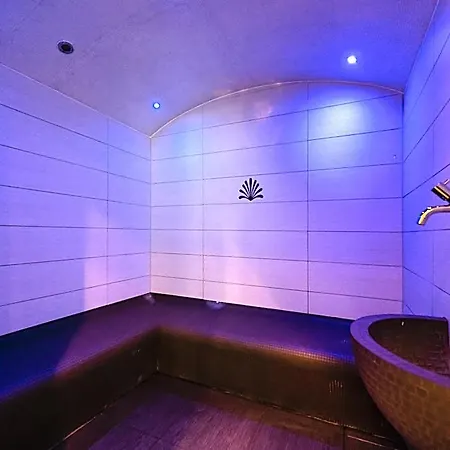 Le Petit Manoir Ξενοδοχείο Morges